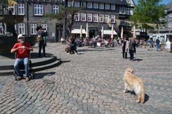 19-05-01_Gos_009_LeS_04404