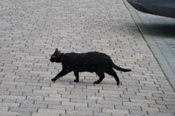 19-05-03_ASL_OSL_046_LeS_04525